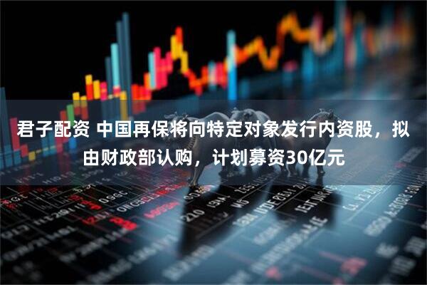 君子配资 中国再保将向特定对象发行内资股，拟由财政部认购，计划募资30亿元